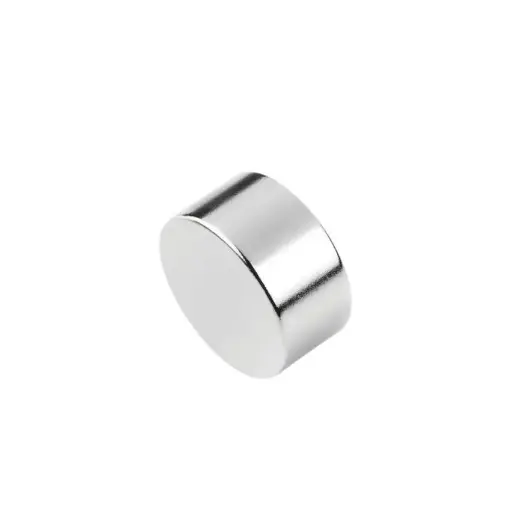 Round Magnet 20 x 5mm